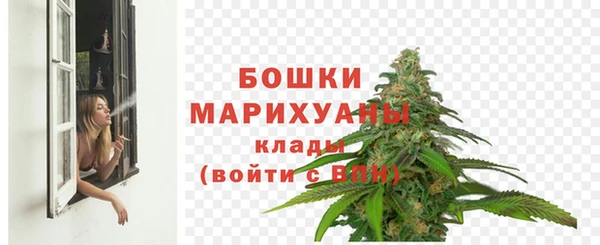 прущие грибы Заволжск