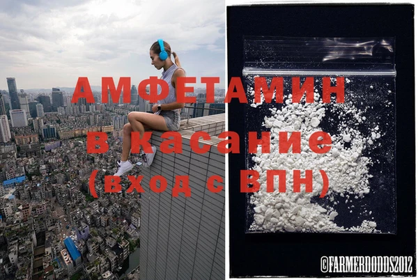 прущие грибы Заволжск