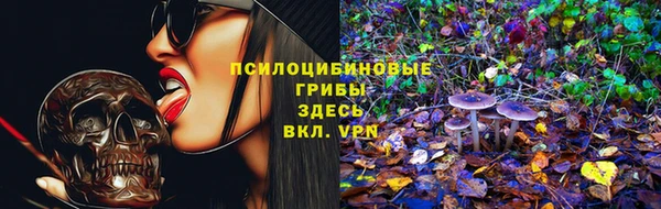 прущие грибы Заволжск