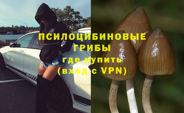 эйфоретик Заводоуковск