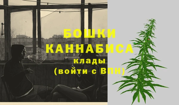эйфоретик Заводоуковск